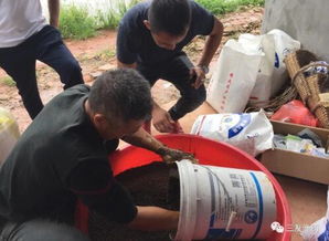 水产养殖业的忧与思 积劳成疾的重病患者，配了药的陪护不易